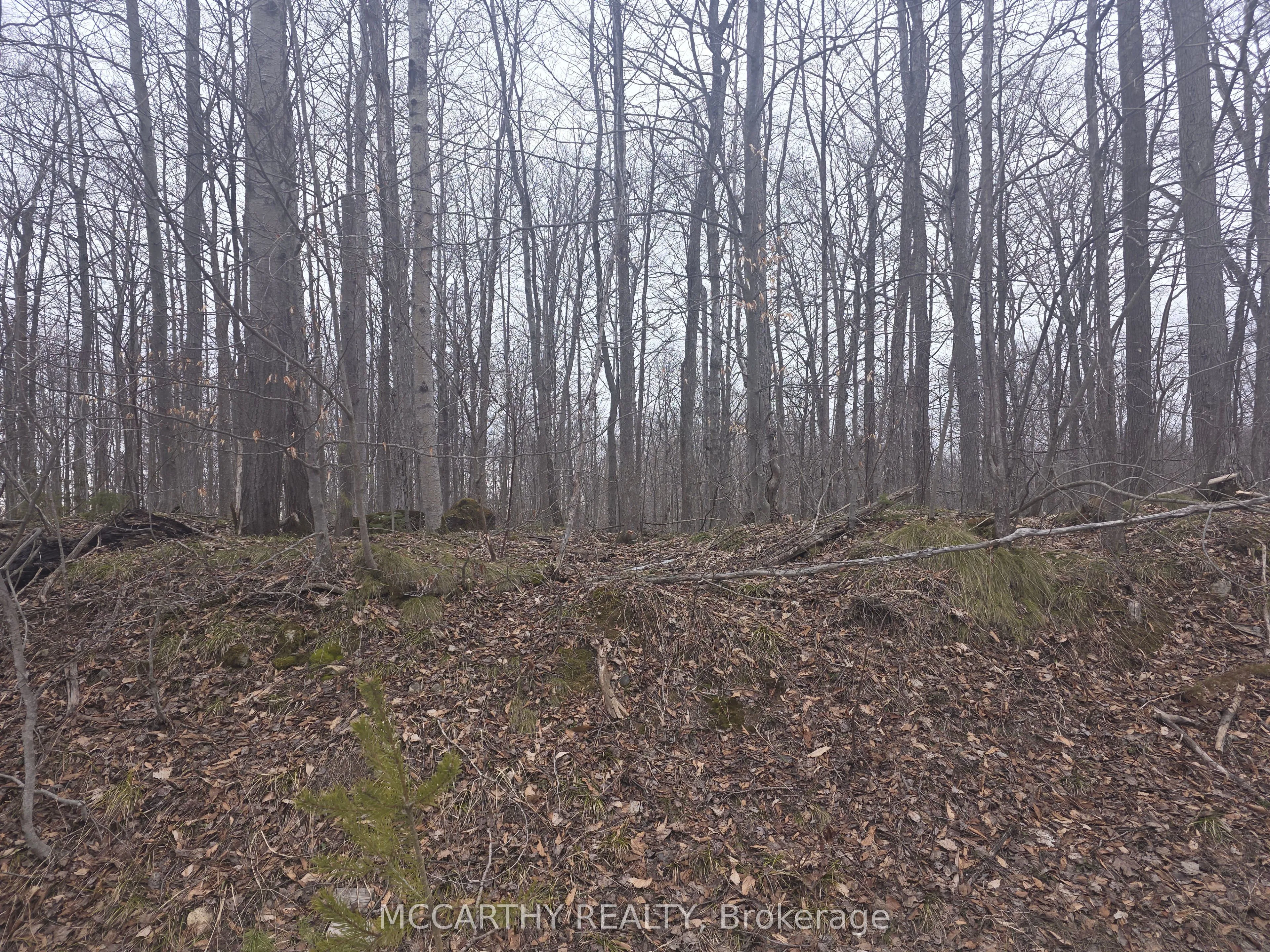 Lot  9 PT LT 25, CON Rd 8 N/A, ON N0C 1H0