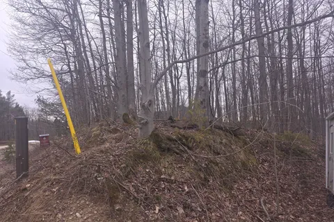 Lot  9 PT LT 25, CON Rd 8 N/A, ON N0C 1H0