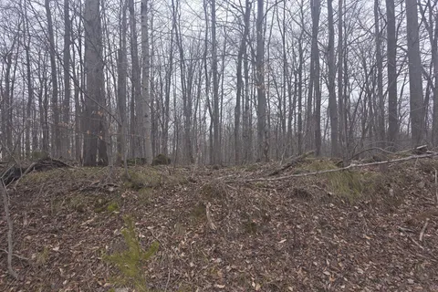 Lot  9 PT LT 25, CON Rd 8 N/A, ON N0C 1H0