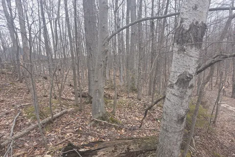 Lot  9 PT LT 25, CON Rd 8 N/A, ON N0C 1H0