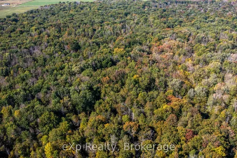 NE 1/4  LT 3 CONC 10 Sideroad 3 N/A, ON N0H 2N0