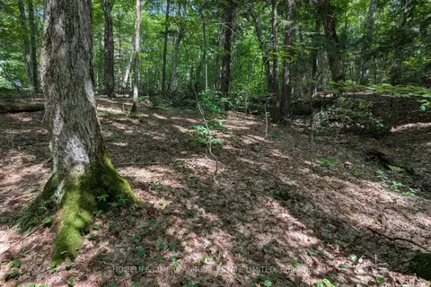 68 Mccauley Road, ON P0C 1J0