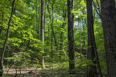 68 Mccauley Road, ON P0C 1J0