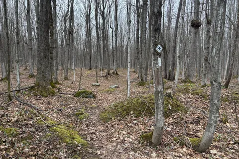 PT LT 9 CON 14 EBR PT 14 Concession, ON N0H 1W0