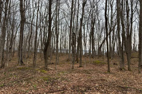 PT LT 9 CON 14 EBR PT 14 Concession, ON N0H 1W0