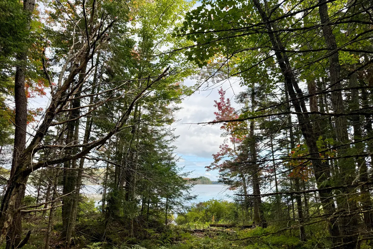 Lot 9 Axe Lake Road, ON P0B 1M0