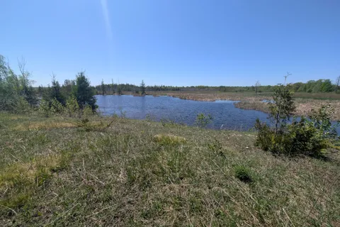 19528 Highway 6 N/A, ON N0H 2T0