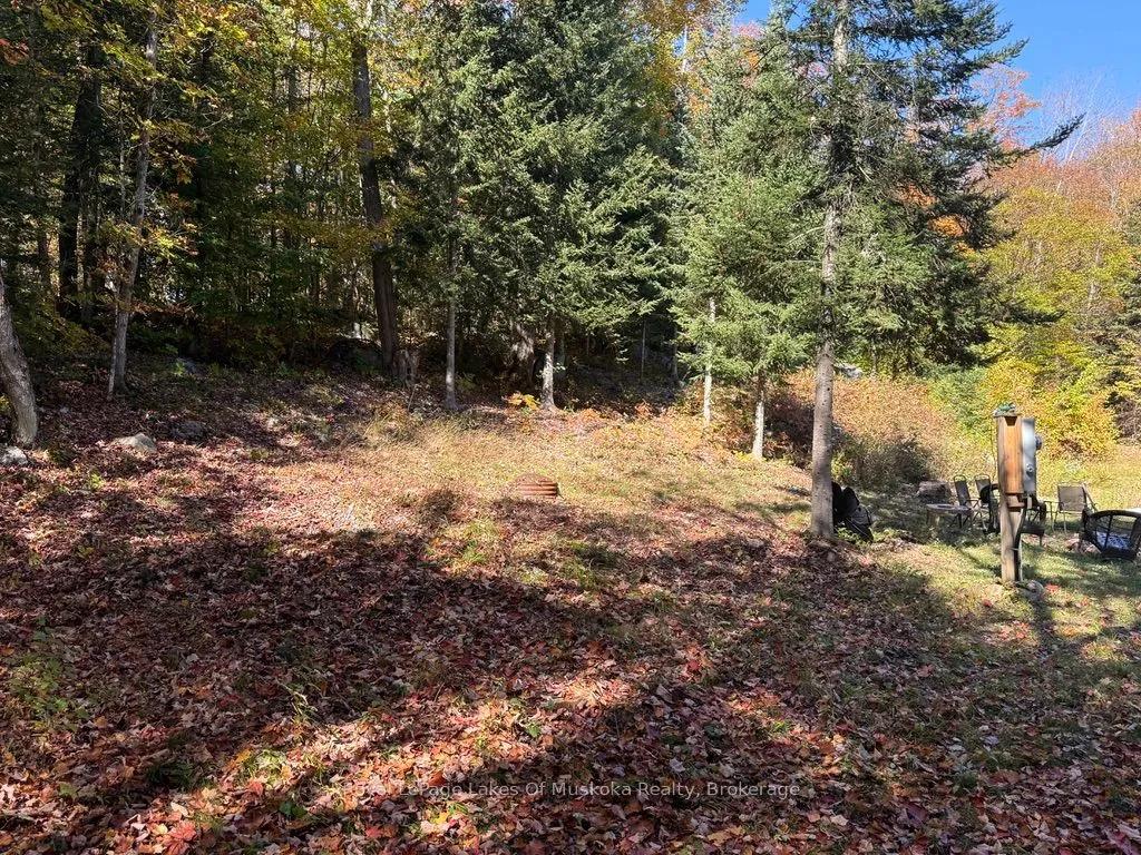 1118 Stoney Road, ON P0A 1C0