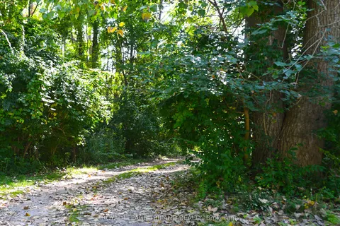 65 Cove Road, ON N6J 1H8