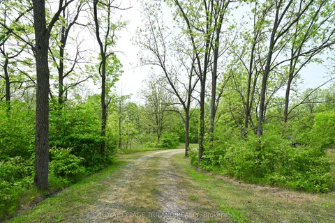 253 Elginfield Road, ON N0M 2K0