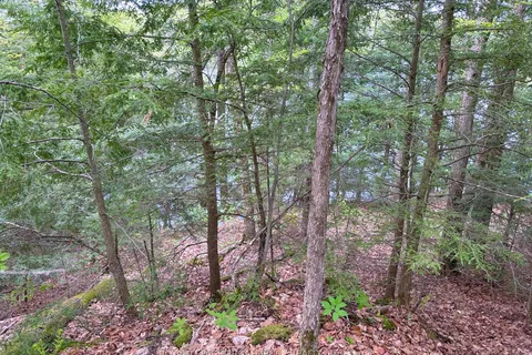 0 Granite Terrace Lane, ON K0K 2J0