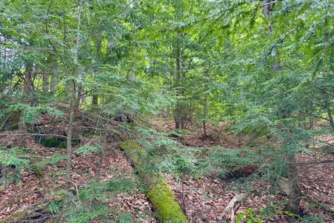 0 Granite Terrace Lane, ON K0K 2J0