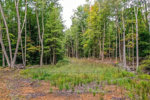 1019 DAVIS Drive, ON P0E 1N0