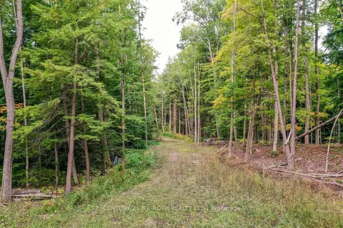 1019 DAVIS Drive, ON P0E 1N0