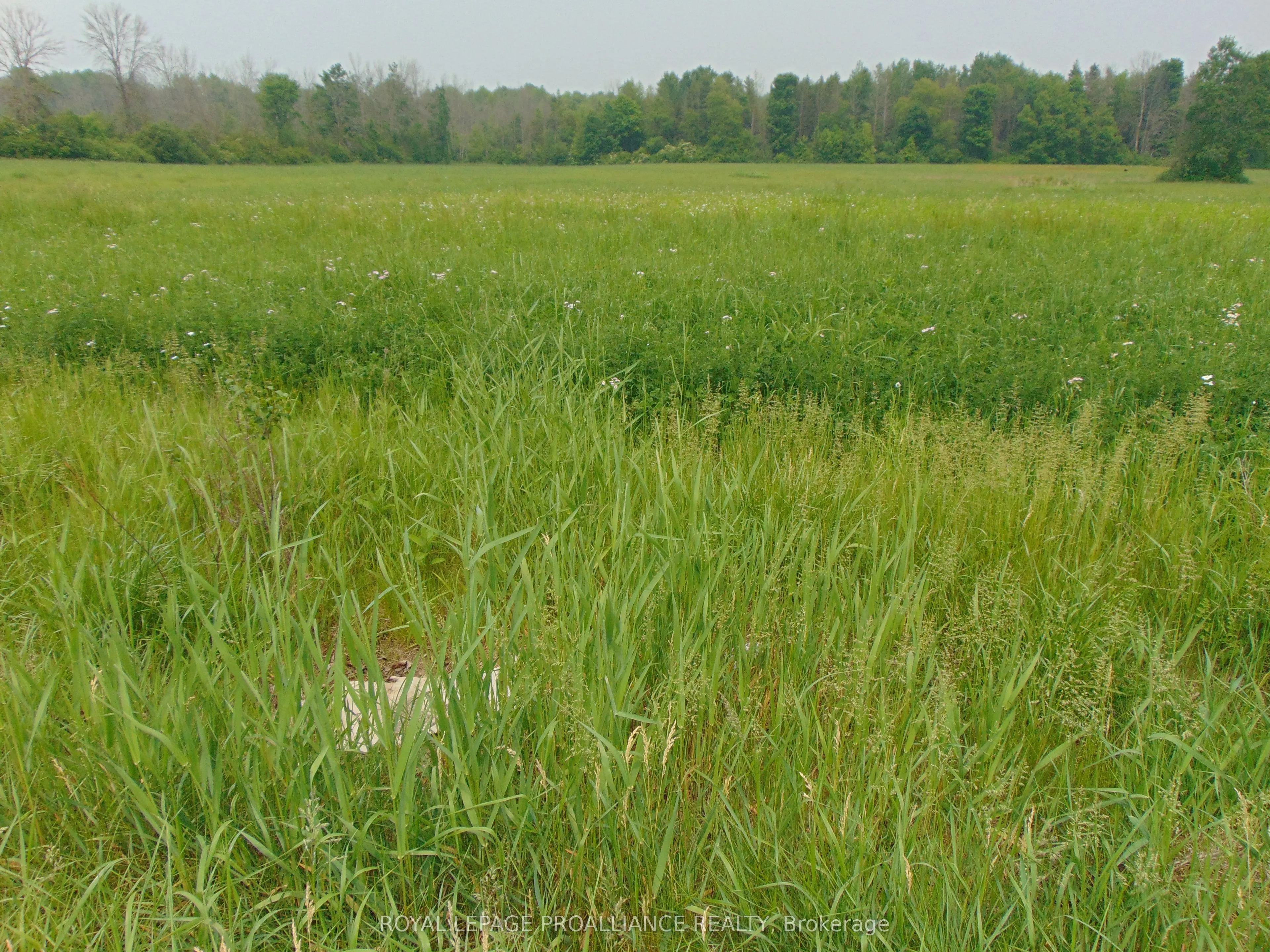 00 Charleville Road, ON K0E 1T0