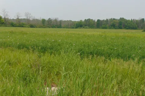 00 Charleville Road, ON K0E 1T0