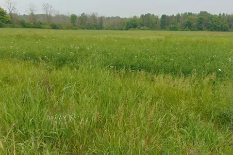 00 Charleville Road, ON K0E 1T0