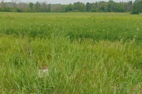 00 Charleville Road, ON K0E 1T0