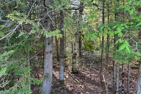 810 4th Line, ON K0L 3E0