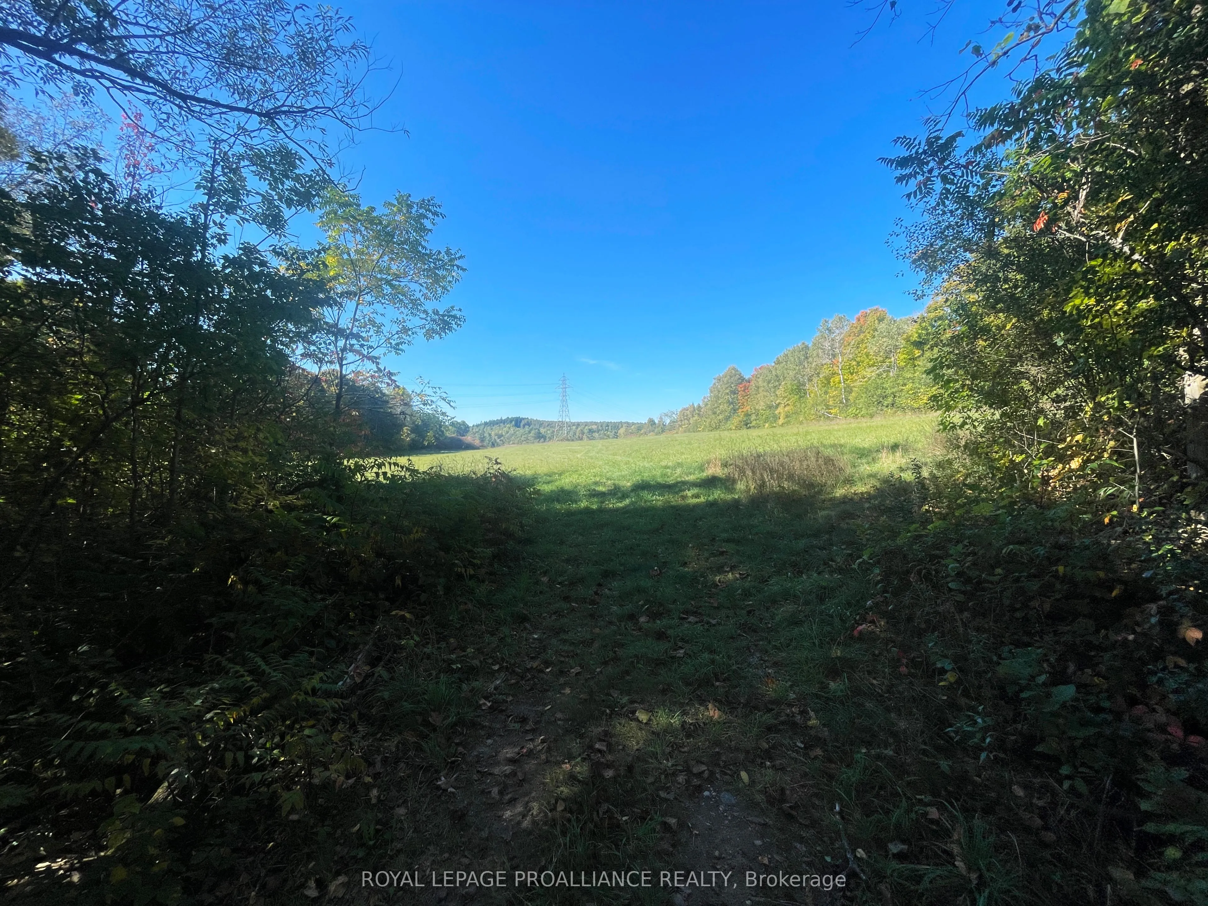 00 Jamieson Road, ON L1A 3V8