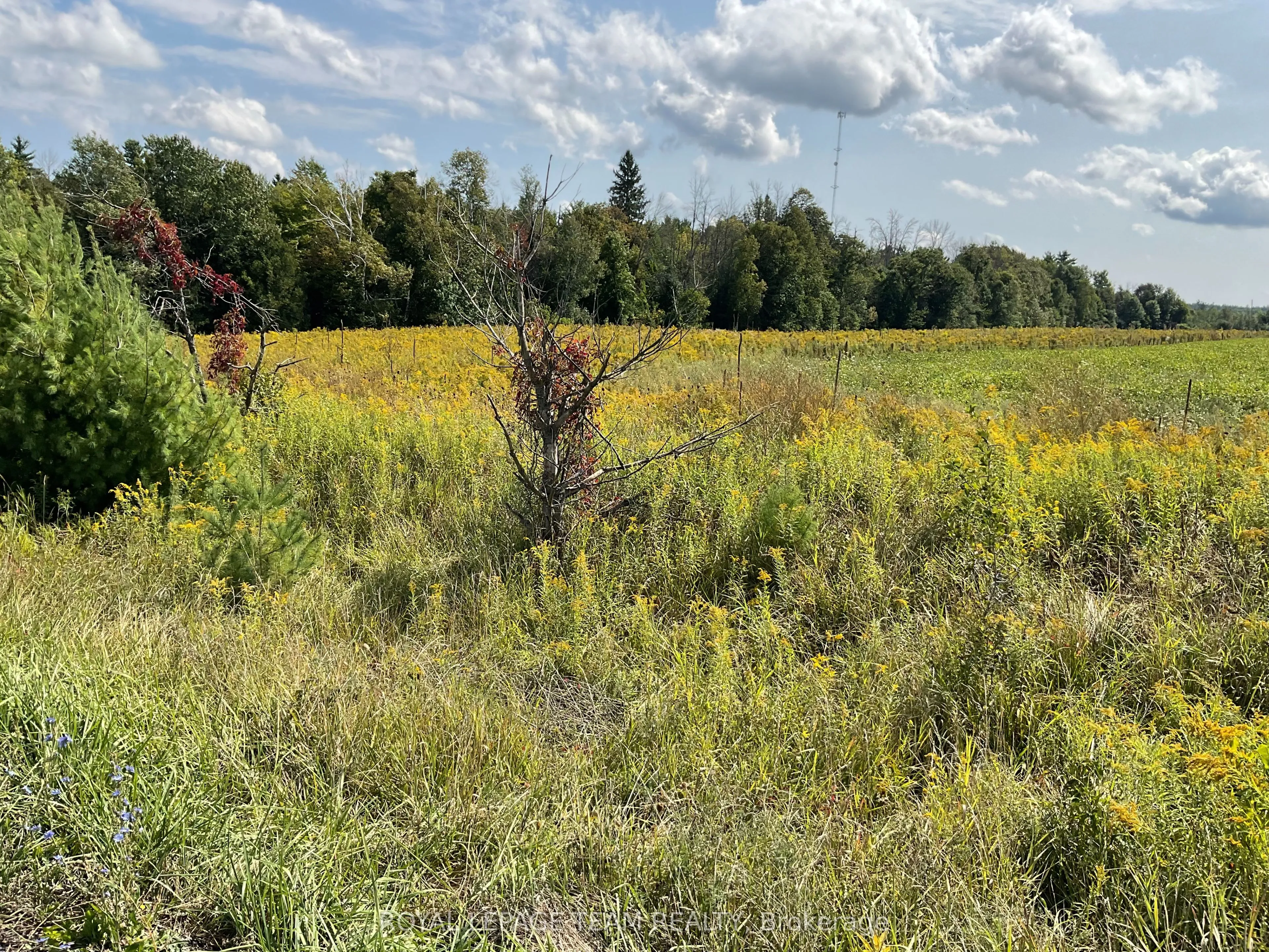 1211 BELLAMY Road, ON K0A 2X0