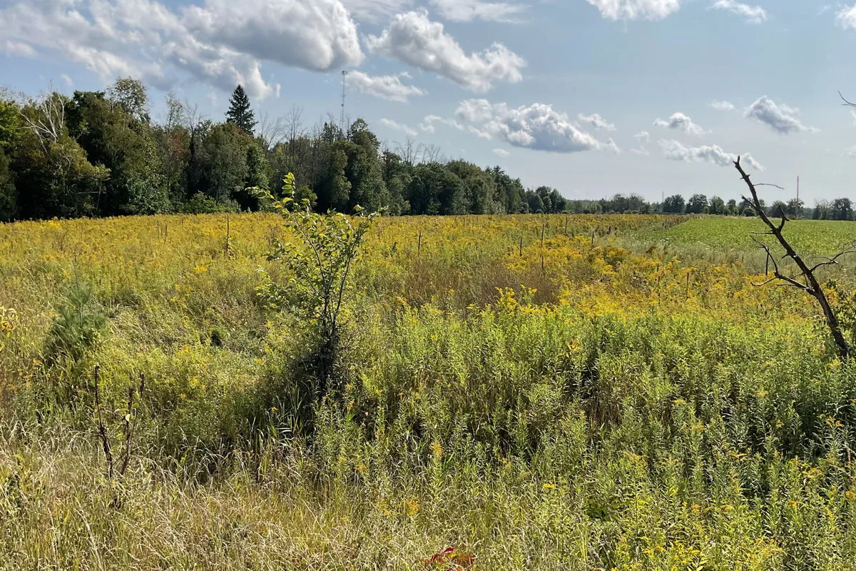 1211 BELLAMY Road, ON K0A 2X0