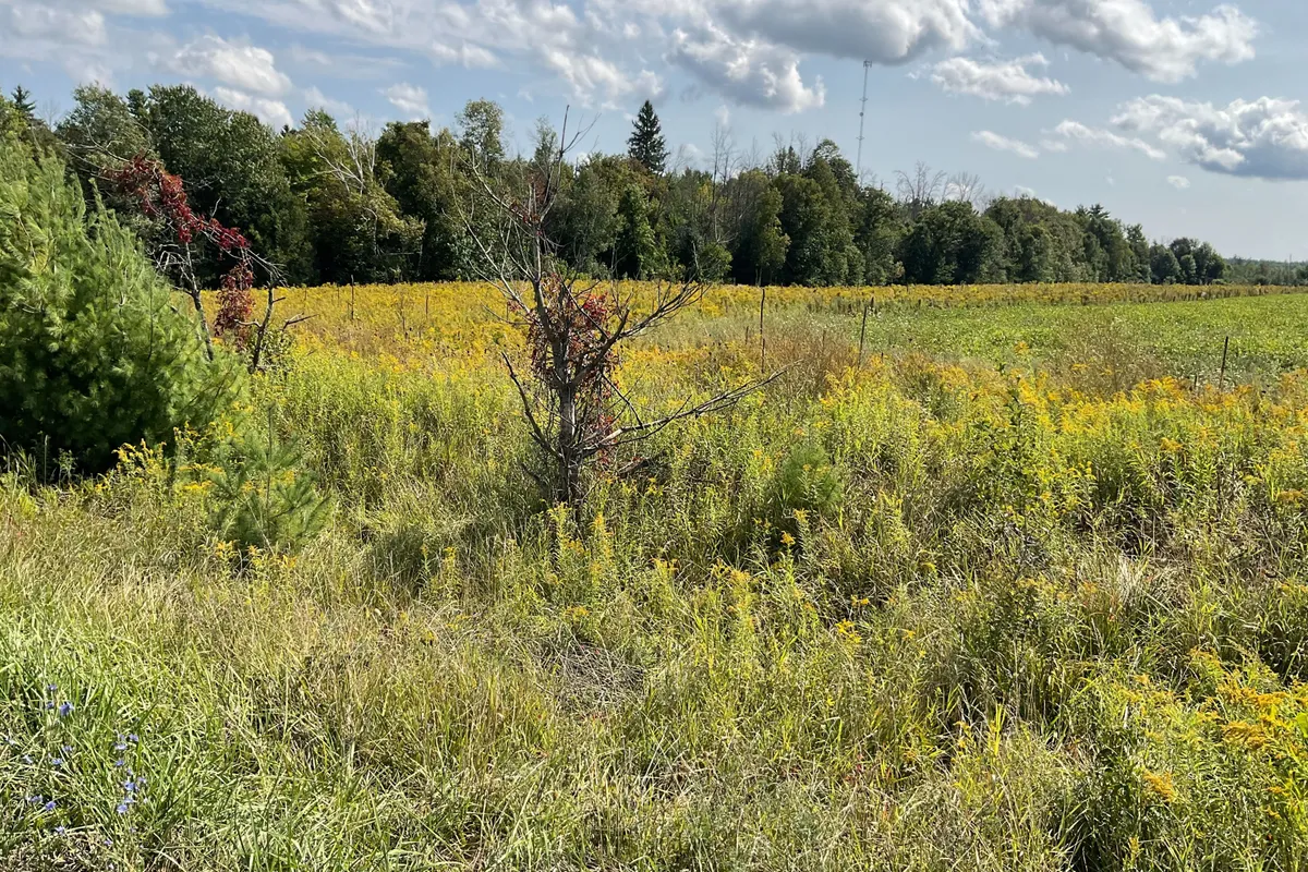 1211 BELLAMY Road, ON K0A 2X0