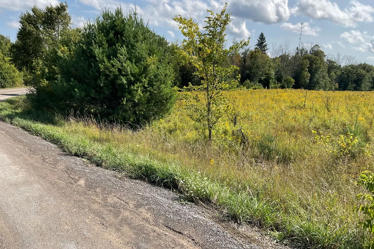 1211 BELLAMY Road, ON K0A 2X0