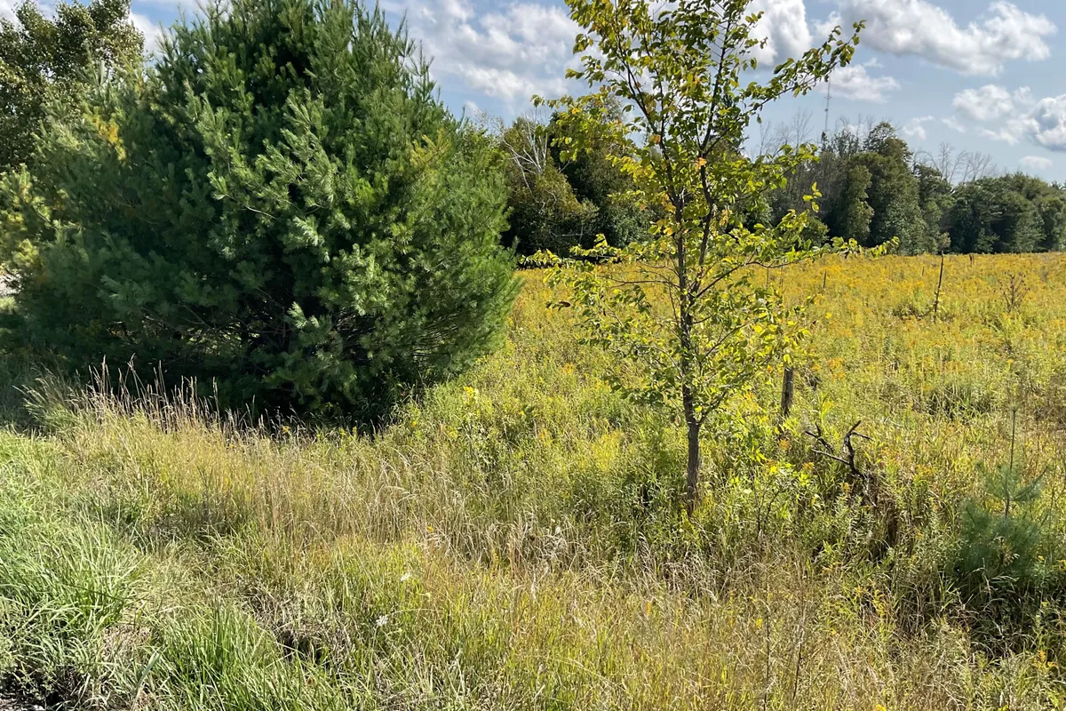 1211 BELLAMY Road, ON K0A 2X0