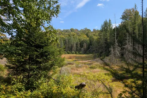 611 Bray Lake Road, ON P0A 1X0