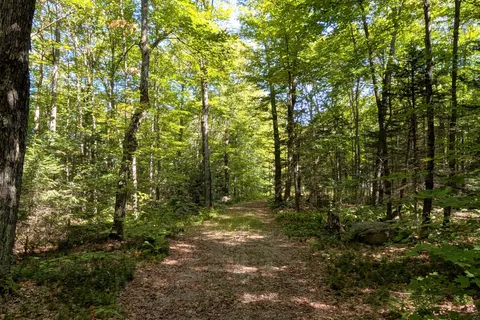 611 Bray Lake Road, ON P0A 1X0