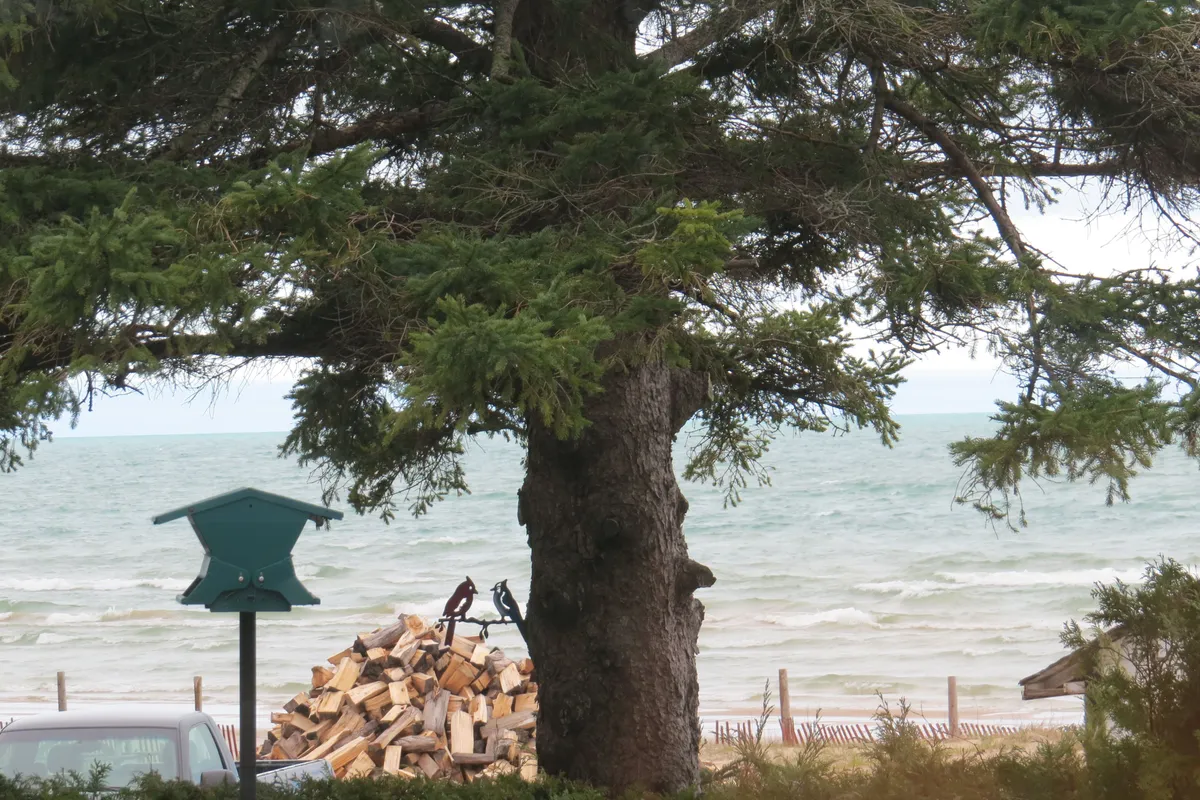 9 LAKESHORE Boulevard, ON N0H 2G0