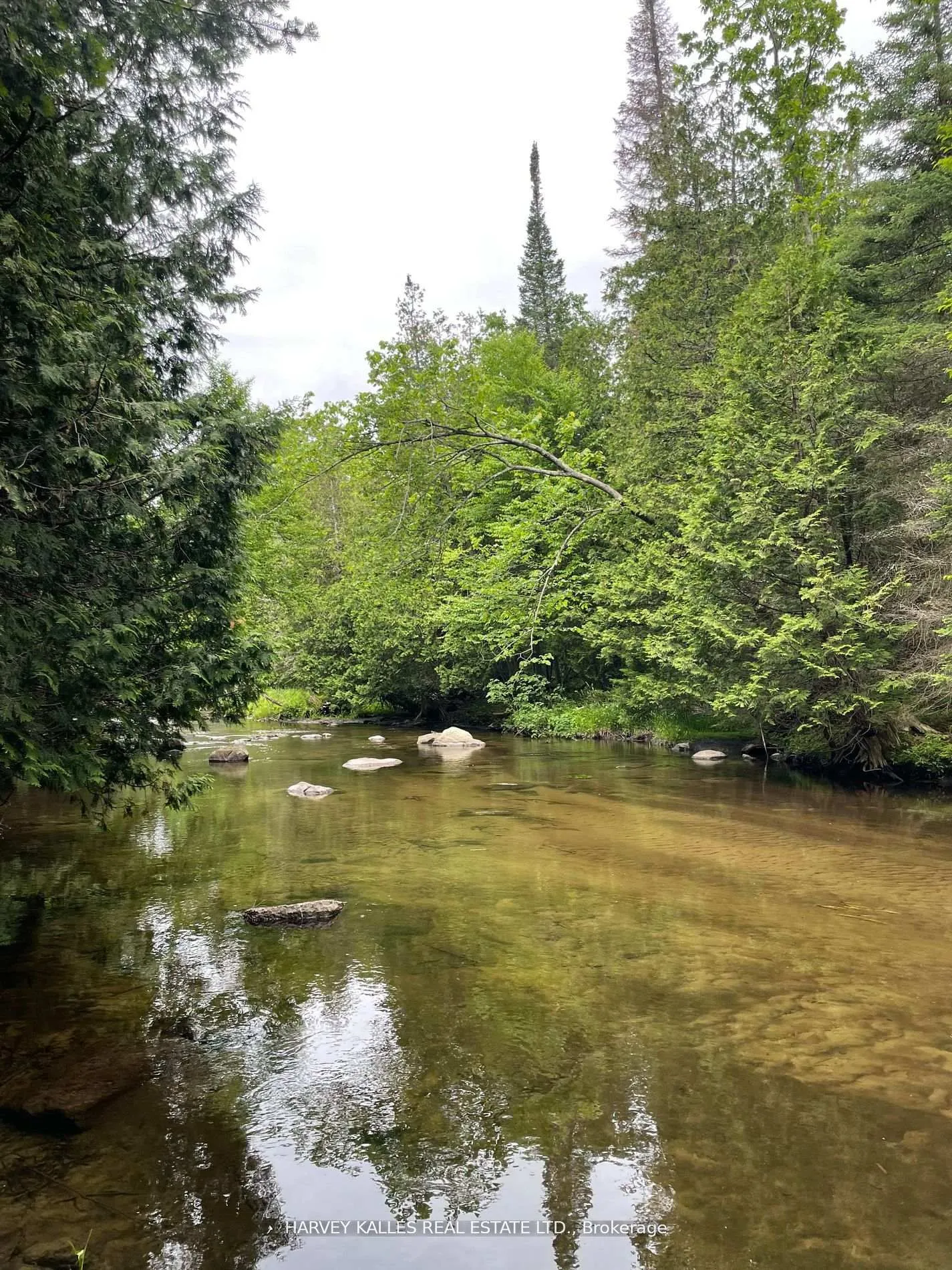 79 Gummow Road, ON K0K 3K0