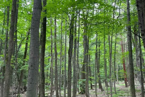 79 Gummow Road, ON K0K 3K0