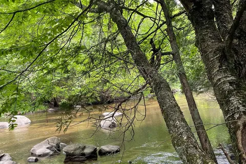 79 Gummow Road, ON K0K 3K0