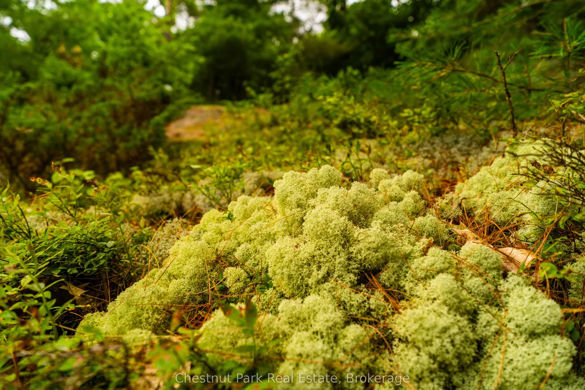 920 Big Island, ON P1H 2J2