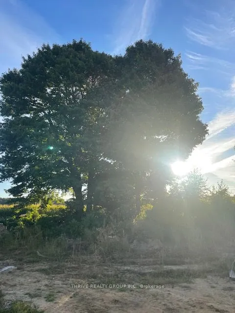 16 Charles Court, ON N0J 1T0