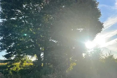 16 Charles Court, ON N0J 1T0