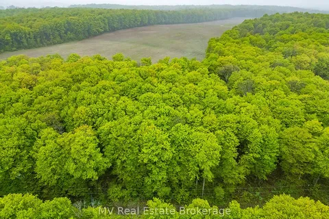 PT LT 6 BASELINE Road, ON N0C 1H0