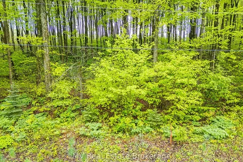 PT LT 6 BASELINE Road, ON N0C 1H0