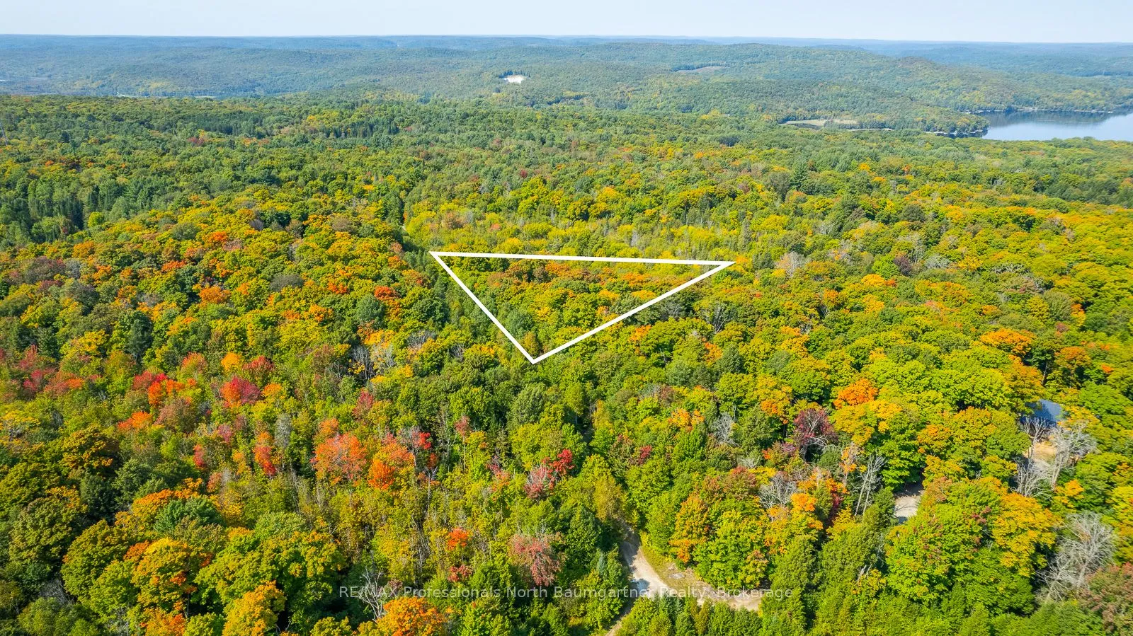 LOT 49 BASSHAUNT LAKE Road, ON K0M 1S0