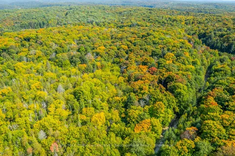 LOT 49 BASSHAUNT LAKE Road, ON K0M 1S0