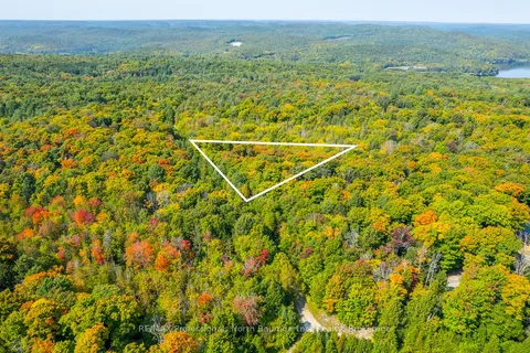 LOT 49 BASSHAUNT LAKE Road, ON K0M 1S0