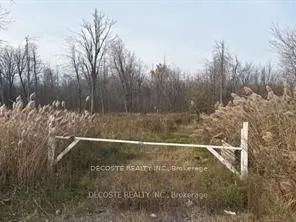 4942 County Road 34 Road, ON K0C 1L0