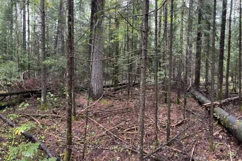 7 Mount Antoine Road, ON P0H 1V0