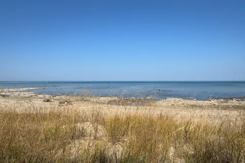 103 Saugeen Beach Road, ON N0H 2C5