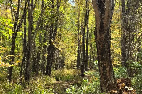 PT/Lot 21 Concession 3 Road, ON K7H 3C7