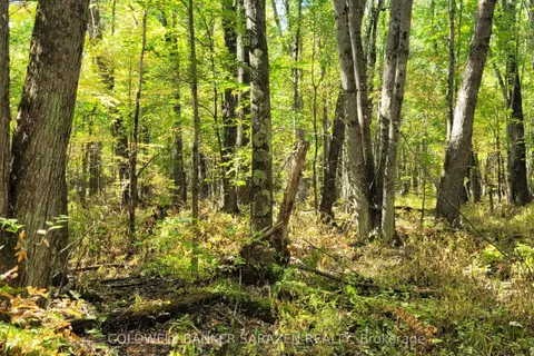 PT/Lot 21 Concession 3 Road, ON K7H 3C7