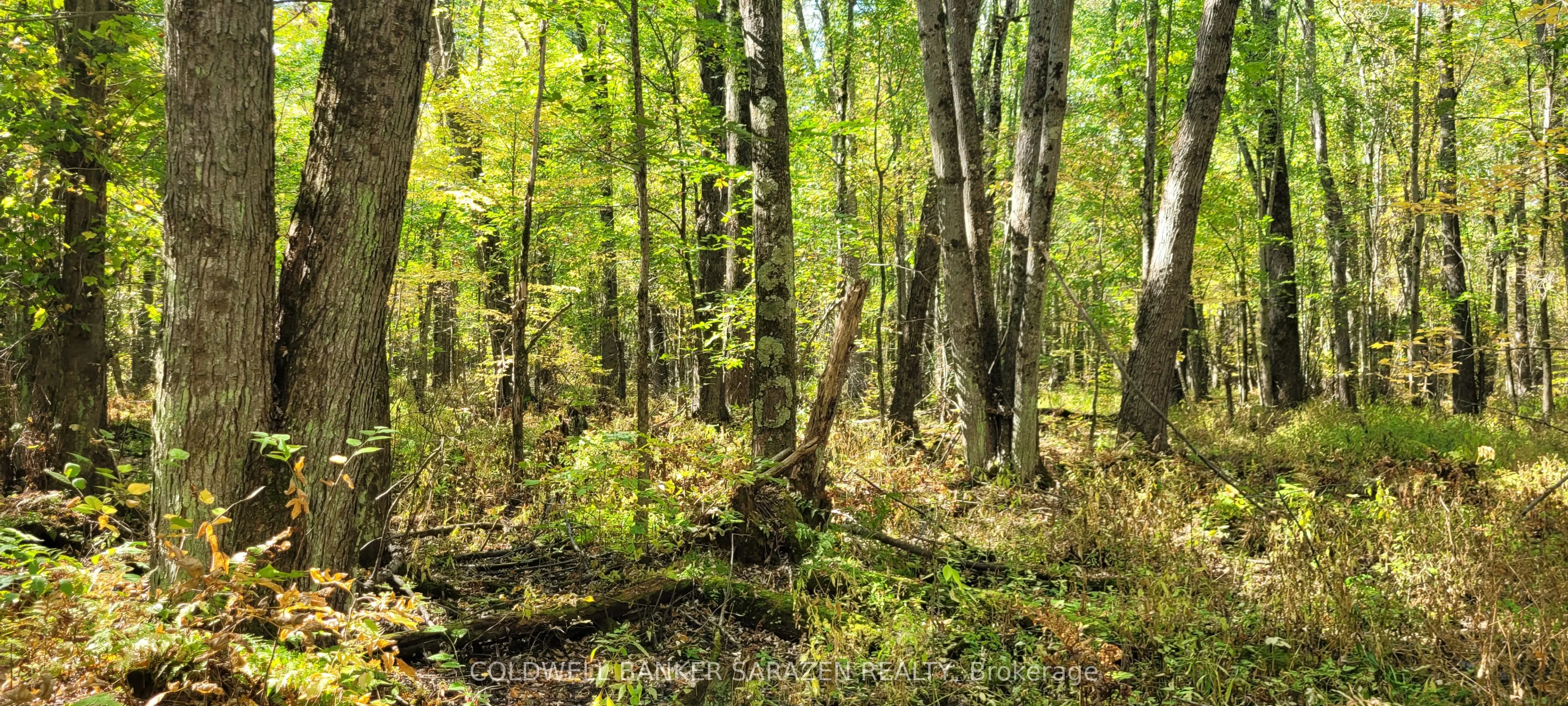 PT/Lot 21 Concession 3 Road, ON K7H 3C7