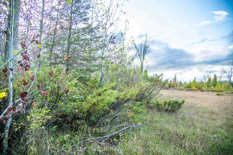 Lot 254 McGuire Beach Road, ON K0M 2B0